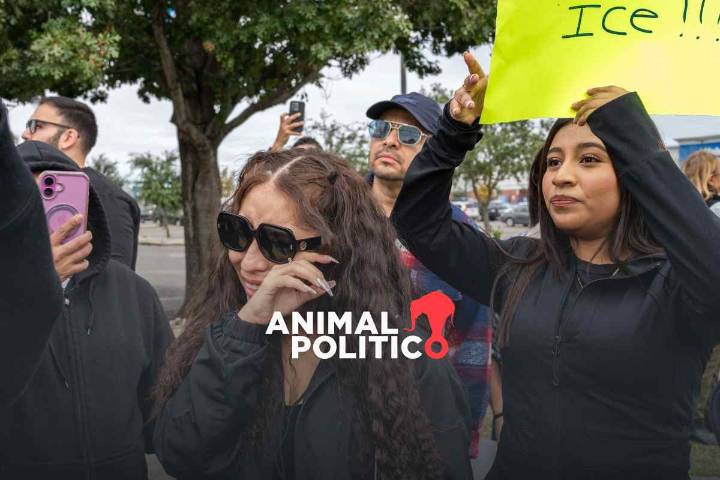 EU cancela la reunificación familiar para residentes temporales de 7 países latinoamericanos