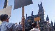 Activists Protest Hogwarts For Having Separate Dormitories For Boys And Girls
