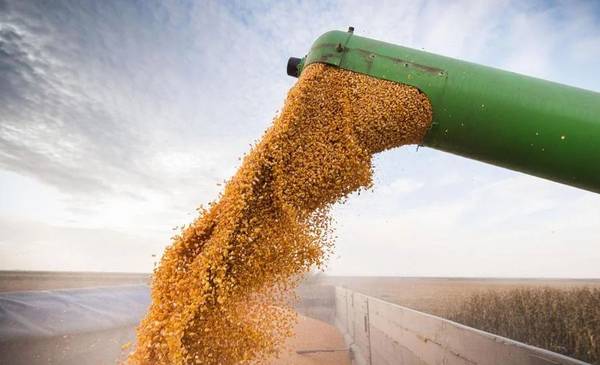 El Gobierno anunció una nueva baja en las retenciones para el campo