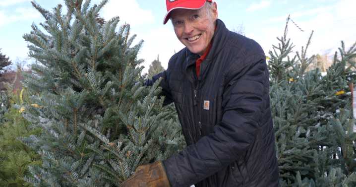 Montana Ag Network: The Journey of a Cashman Christmas Tree