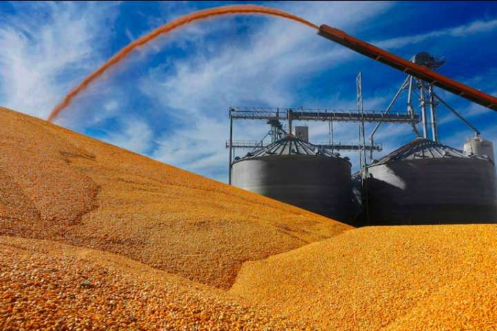 Gobierno anunció otra baja de retenciones a exportaciones de granos