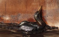 As Florida offshore drilling looms, birds less protected from spills under Trump