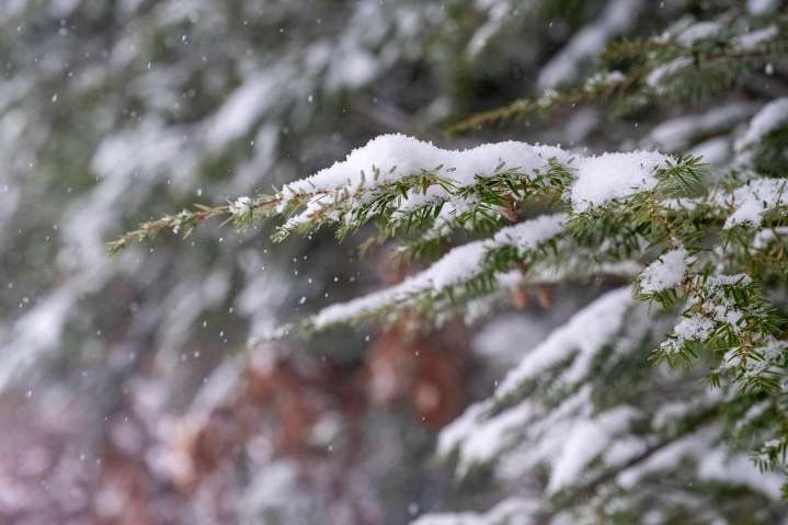 Mass. weather: Bitter cold and snow squalls on the way