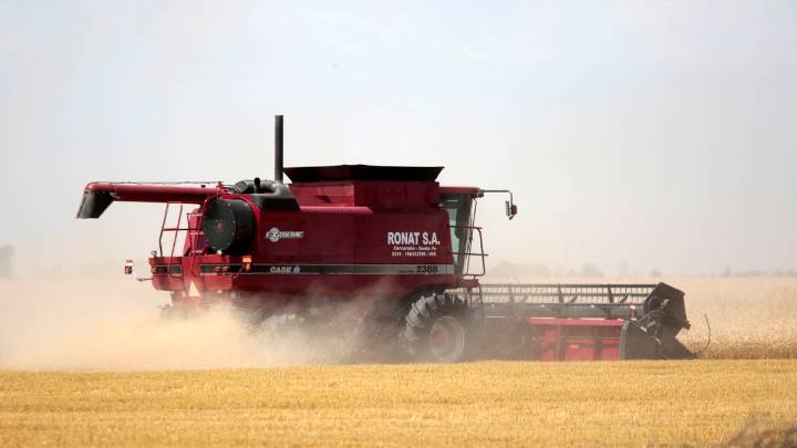 El trigo se agranda: la Bolsa estima una cosecha de 27,7 millones de toneladas