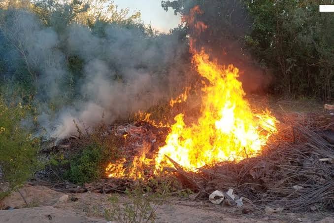 Se incendia terreno en la colonia Centro