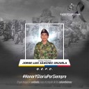 Soldado falleció durante combates contra el Eln en Tame Arauca