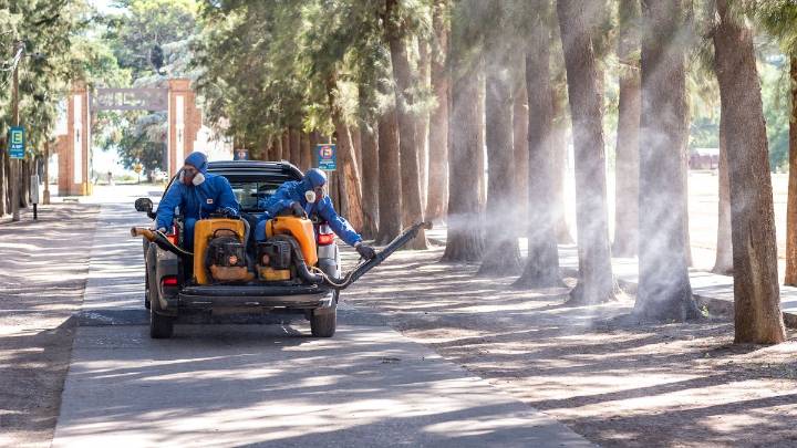 Desde noviembre el muncipio de Villa Constitución refuerza su estrategia en la prevención del dengue