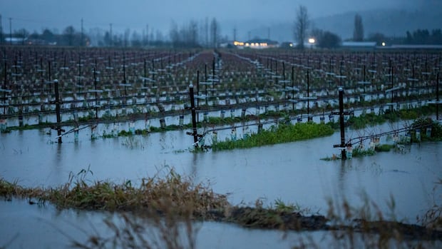 IN PHOTOS | Atmospheric river drenches southern B.C.