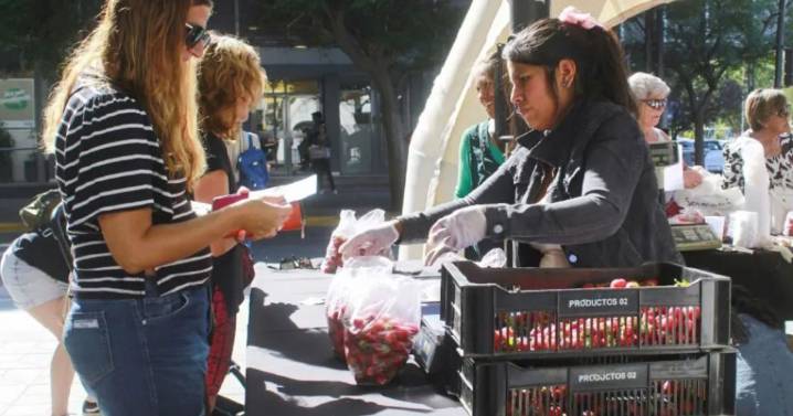 La Feria de Frutillas llega a Neuquén: frutas frescas a precios bajos, ¿cuándo se hará y dónde?