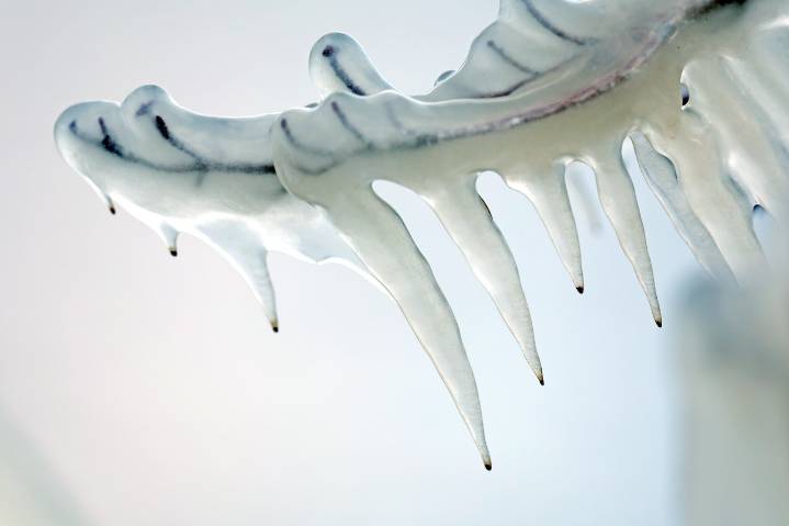 Mass. weather: Arctic blast plunges state into deep freeze Sunday night