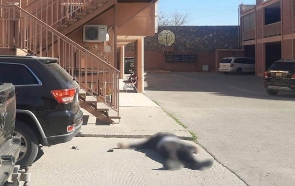 Ejecutan a uno en estacionamiento de plaza comercial