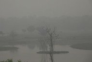 What is GRAP-IV, now in force in Delhi and the National Capital Region?