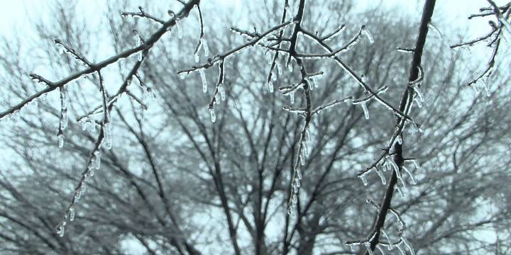 Wilson County opening emergency warming shelter ahead of dangerous arctic blast