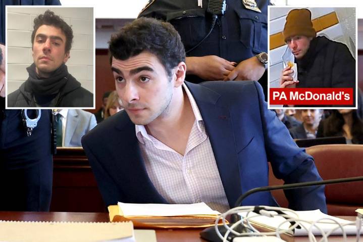 Luigi Mangione utters revealing quip when he sees media circus after arrest, PA cop testifies