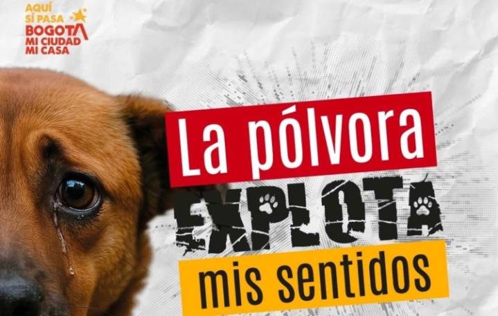 Bogotá lanza estrategia integral para la Protección y el Bienestar Animal
