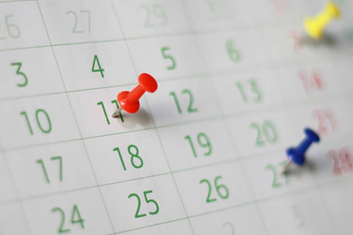 Claves de la jornada. Hoy se celebra el Día de las Personas con Discapacidad