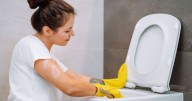 Rust and limescale will disappear from your toilet with one natural cleaning item