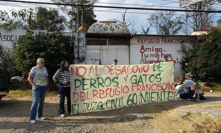 Ofrece Sedema mesa de trabajo por disputa de refugio de mil animales