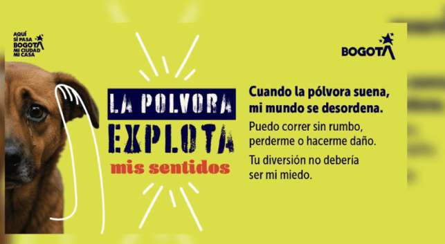 Bogotá lanza estrategia para que nos unamos en pro del bienestar animal esta Navidad