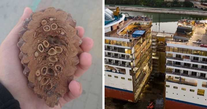 50 Interesting Pictures Showing The Insides Of Things We Rarely See (New Pics)