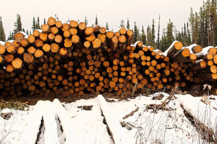 Alberta lumber mill closing and nearly 200 jobs will be hit