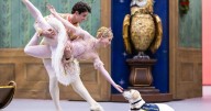 Guide dog puppies treated to a night at the ballet as they enter 'magical world'