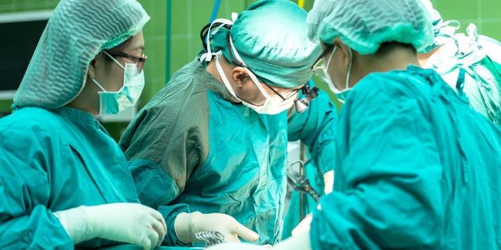 S.C. group helps navigate the path toward organ transplant