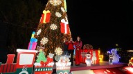 Brilla Nuevo Laredo con encendido del Pino Navideño; destacan figuras gigantes y luces LED