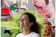 Weird Smells You Low-Key Love (It’s Okay, Me Too)