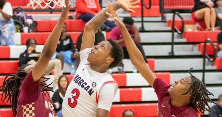 Dogs get energy, options from Locus, Simmons