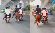 Chaos in Rajendranagar, Miscreants Create Uproar with Bikes and a Horse on the Road, Residents Concerned
