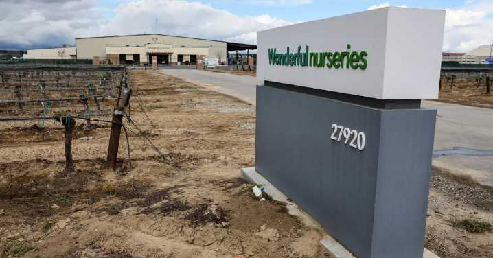 Calif. appeals court dismisses Wonderful Company’s lawsuit contesting nursery unionization