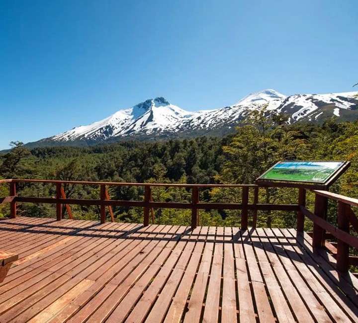 Lugares turísticos en Chile: cómo llegar a la Reserva Nacional Mocho