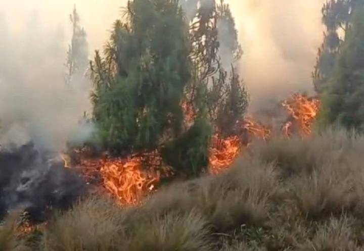 Lambayeque: incendio forestal en Magmapampa moviliza a comuneros y autoridades de Kañaris