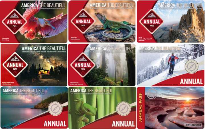 ‘Nothing beautiful about that’: Erase Trump’s face from parks pass, lawsuit demands