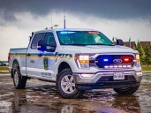 Two Windsor-Essex men fined for moose hunting violations in northern Ontario