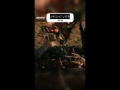 WCNC Archives: Christmas Tree Shopping 2014