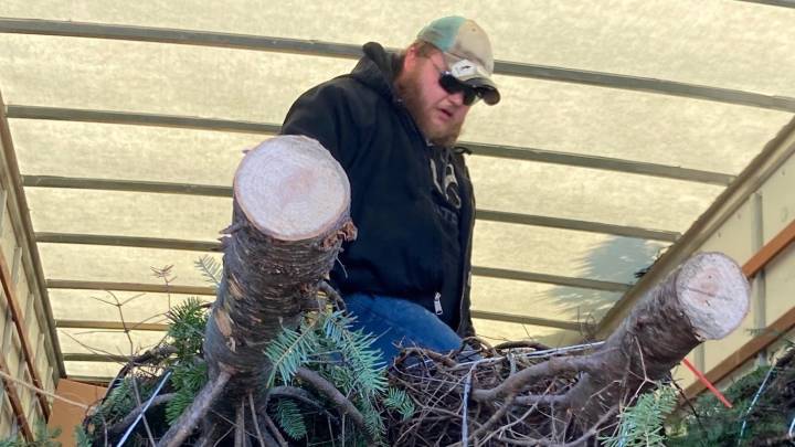 5 weekend holiday events in Newport County beyond the headliners