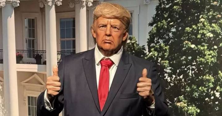 Trump wax figure removed from museum after being repeatedly punched in the face