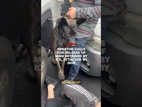 Senator calls for release of man detained by ICE, attacked by dog