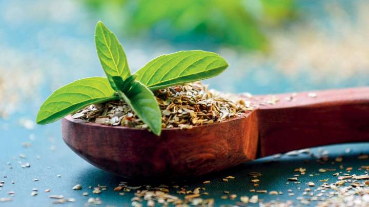 Winter wellness: Dieticians share tips to stay healthy as temperatures drop