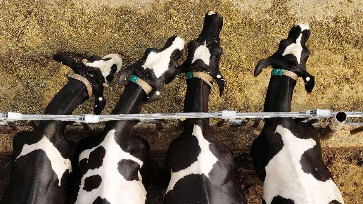 The value of domestic food production and Utah's role