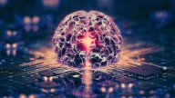 Computers Made From Human Brain Tissue Are Coming. Are We Prepared?