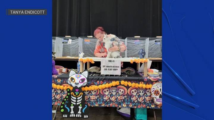 Fort Worth to host purrfectly good cat show