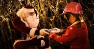 Welsh Santa's grottos you can still book this December