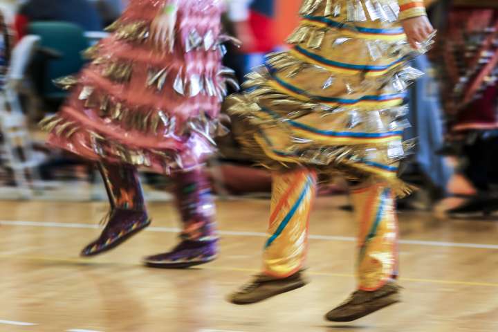 Local View: Ojibwe-language immersion helping to restore Native cultures