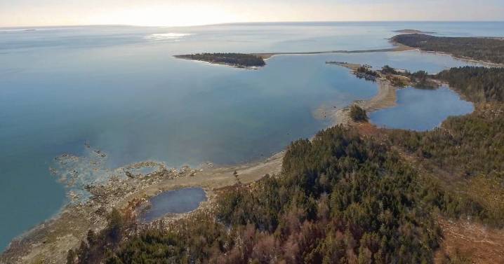 N.S. news: Orcas from France may move to whale sanctuary