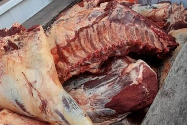 Otra de cuatreros correntinos: incautaron 250 kilos de carne ilegal en Santa Lucía (Imágenes)