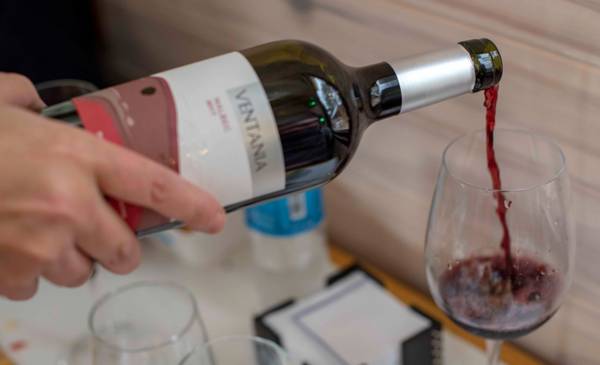 Vitivinicultura argentina: ¿por qué el sector atraviesa un momento desafiante?