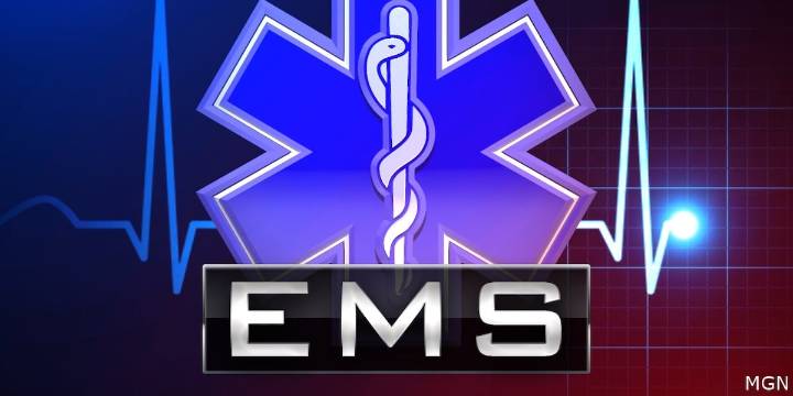 Cross Plains Area EMS named 2025 Wisconsin EMS Association Service of the Year